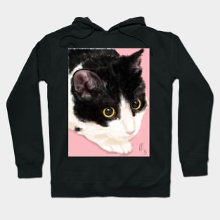 Black and White Cat on a Pink Background Hoodie